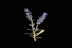 Lavender Brooch - Lavendel