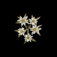 Edelweiss Brooch - Edelweiss Brosche 
